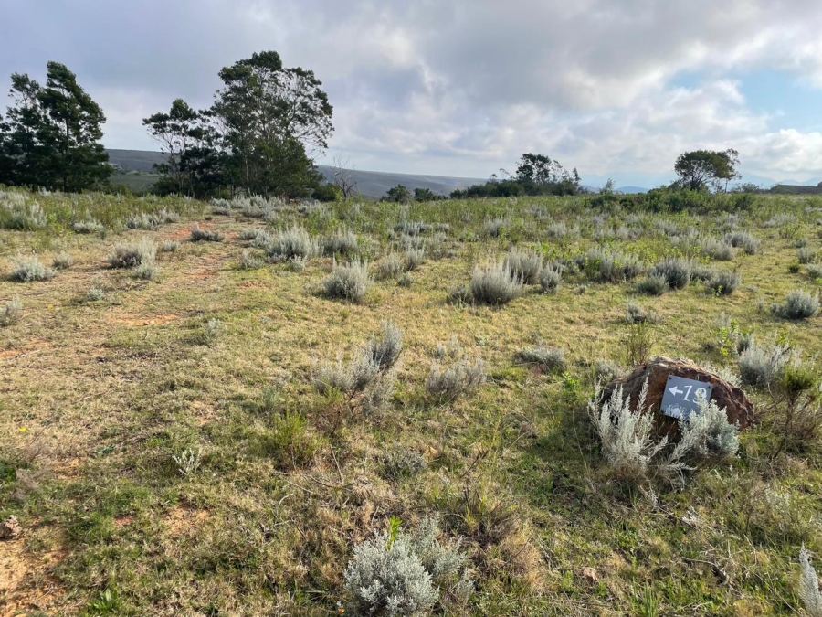 0 Bedroom Property for Sale in Gondwana Game Reserve Western Cape